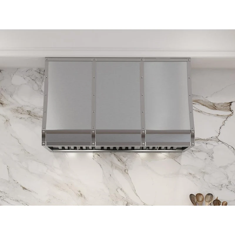 Zephyr Hotte personnalisée murale Forte de 48 pouces CHFT48ASX