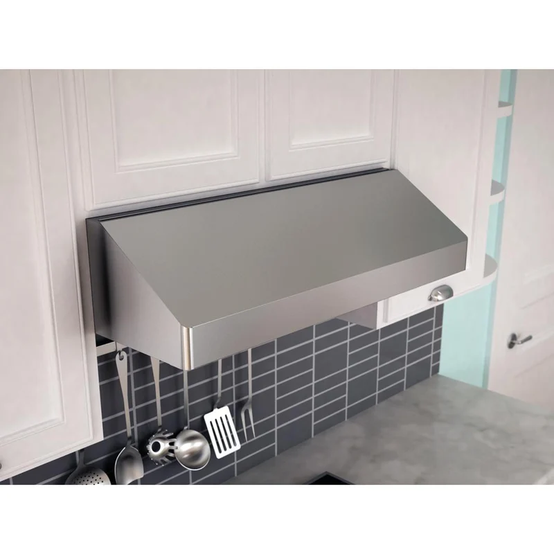 Zephyr Hotte de cuisinière sous cabinet Gust de 36 po AK7136BS-BF