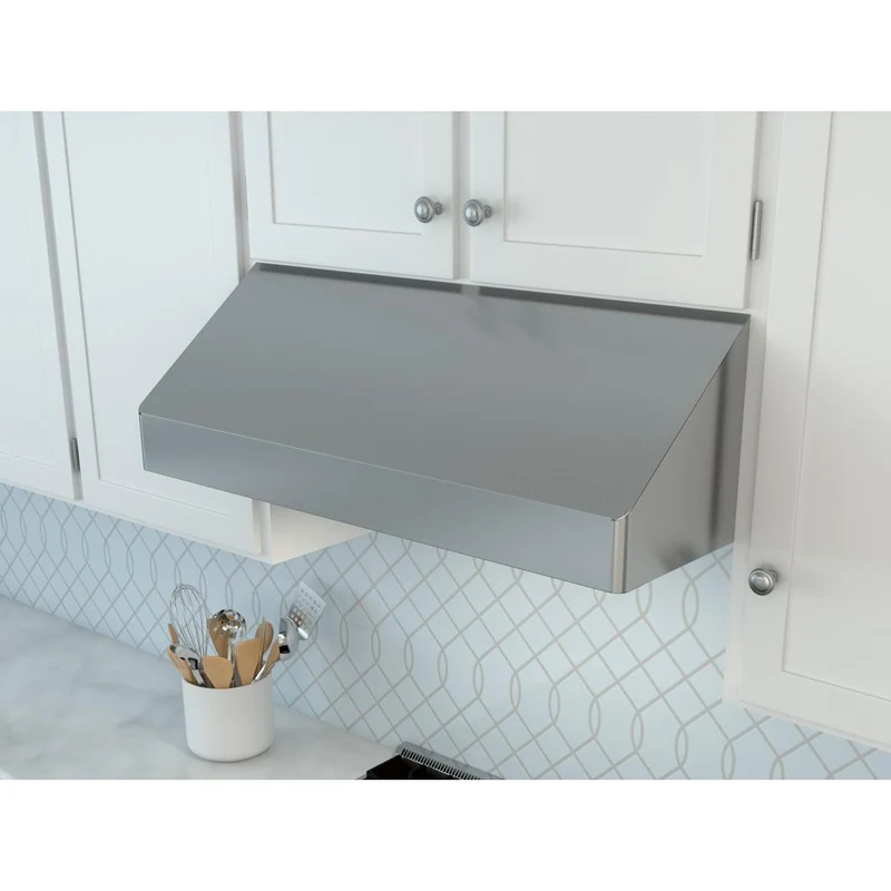 Zephyr Hotte de cuisinière sous le cabinet série Pro Tempest I de 42 po. AK7042CS